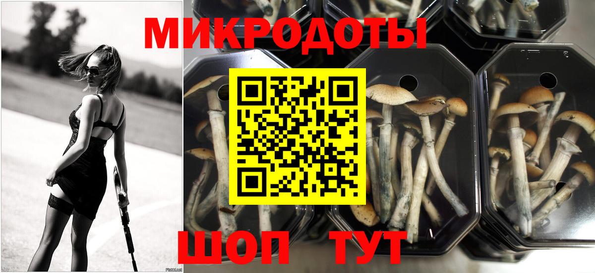 Галлюциногенные грибы мухоморы Севастополь