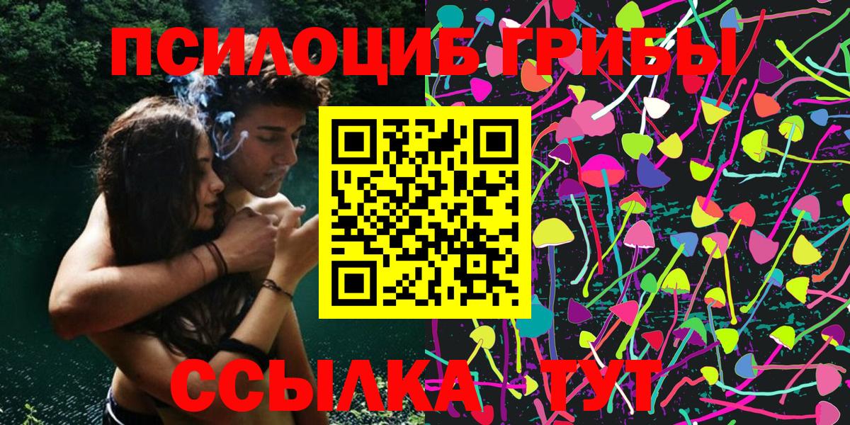 Псилоцибиновые грибы MAGIC MUSHROOMS  цены наркотик  Севастополь  Вход с VPN 